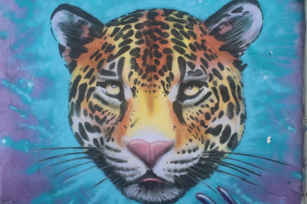 Photograph of a jaguar wall mural in La Candelaria, Bogota.