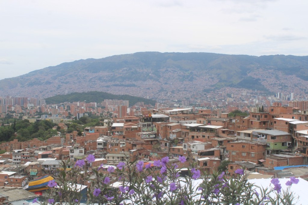 Photo of red brick barrios of Medellin with purple flowers.